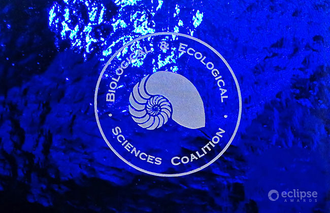 Recycled Glass Award - Cobalt Crescent