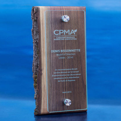 Canopy Wall Plaque - Walnut Wood & Glass