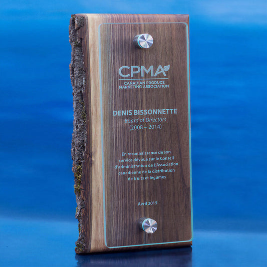 Canopy Wall Plaque - Walnut Wood & Glass