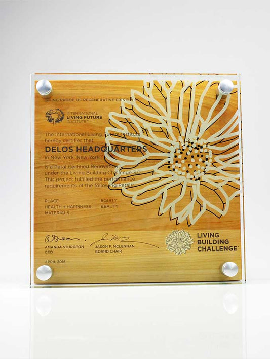 Harmony Wall Plaque - Maple Wood & Glass