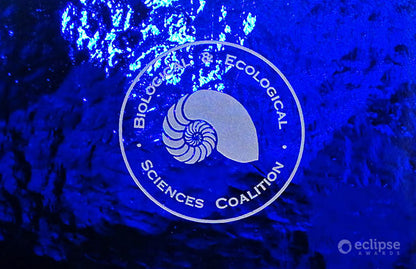 Recycled Glass Award - Cobalt Crescent