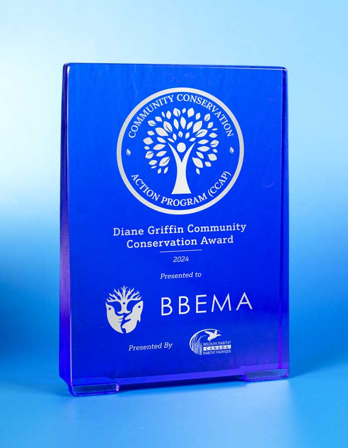 Recycled Glass Award - Cobalt Rectangle